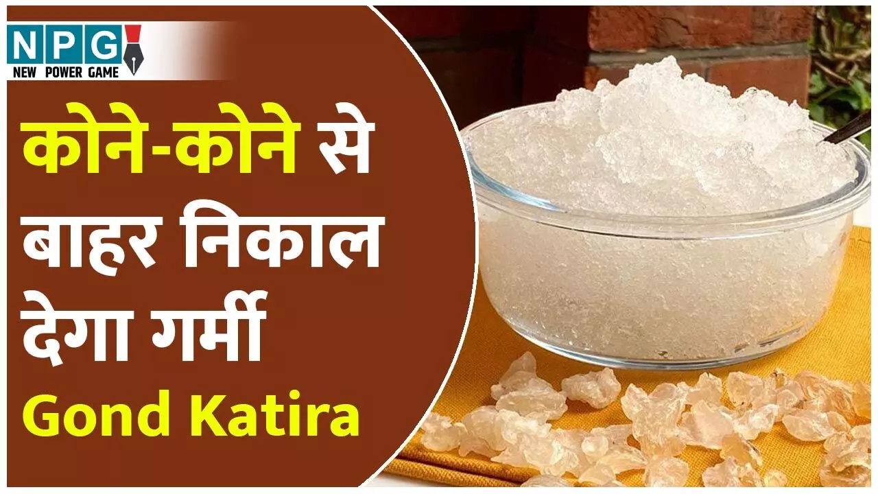 Gond Katira Benefits In Summer: शरीर के कोने-कोने से गर्मी बाहर निकाल देगा गोंद कतीरा, जानिए गर्मियों में इसके जबरदस्त फायदे…