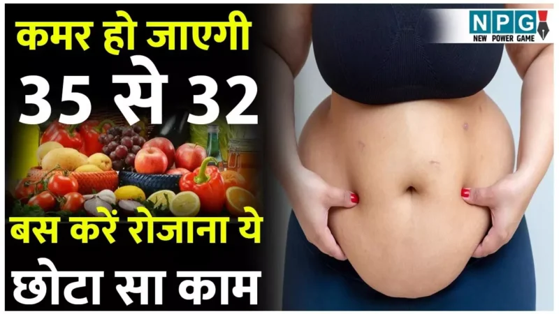 7 Proven Weight Loss Foods: फैट कटर हैं ये सात फूड आइटम्स, एक्सपर्ट ने बताया, कमर 35 से हो जाएगी 32