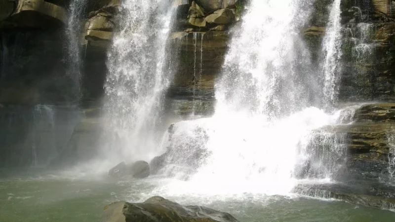 MCB News: पिकनिक बना मातम! वाटरफॉल में डूबे SECL के दो वरिष्ठ अधिकारी, जानें पूरी घटना