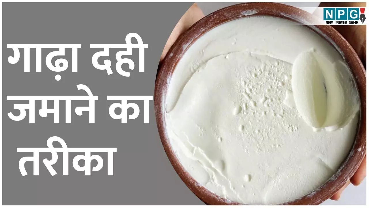 How To Make Perfect Curd In Summer: गर्मी में परफेक्ट गाढ़ा दही जमाने का तरीका, न होगा खट्टा, न ढीला, सीखिये एक्सपर्ट्स से…