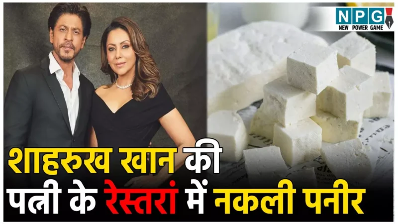 Gauri Khan Restaurant Torii: शाहरुख खान की पत्नी के रेस्त्रां में परोसा जा रहा है नकली पनीर! यूट्यूबर ने किया चौंकाने वाला खुलासा, देखें Video